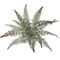 20" Frost River Fern Bush – Dusty Silk Faux Plant for Indoor & Outdoor Home & Office Decor